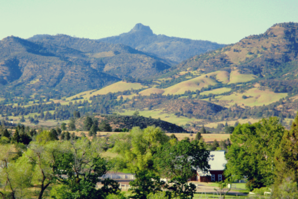 2011-ranch-pics-0331