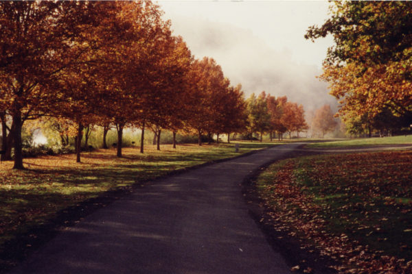 klamaths-falling-leaves