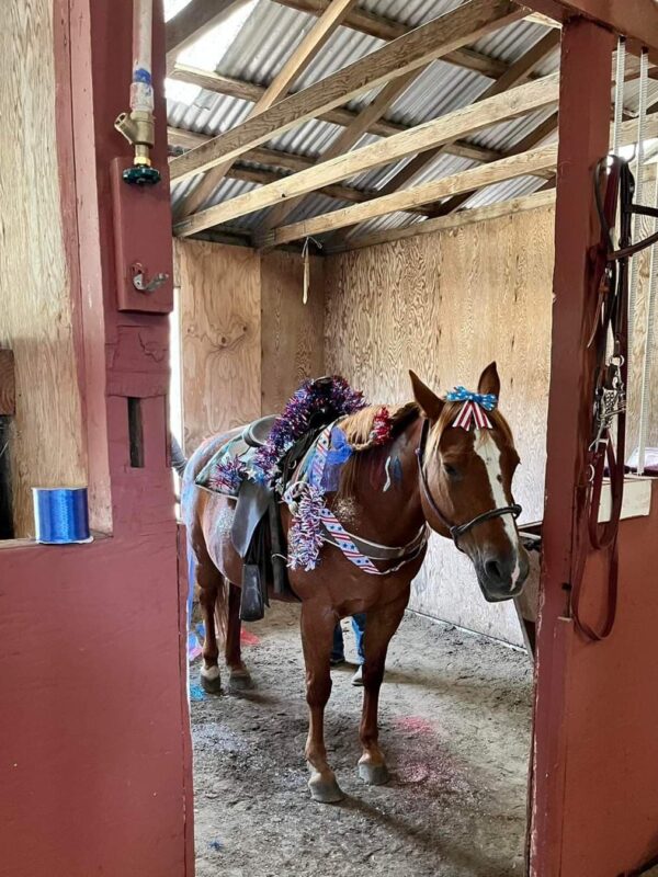 293146702_1051954545439227_7617910507083413373_n