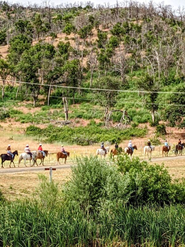 293608716_414413240728998_9096938151603909145_n