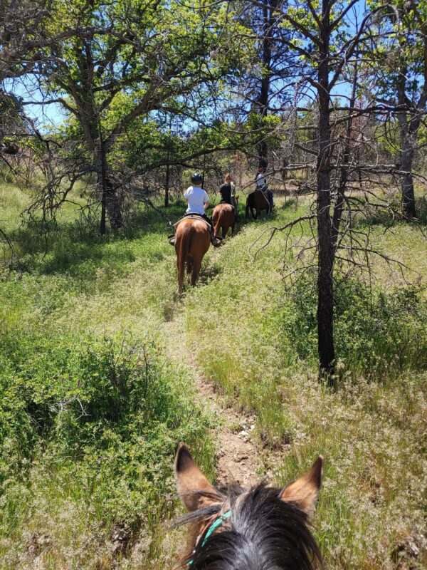 received_433947351478819