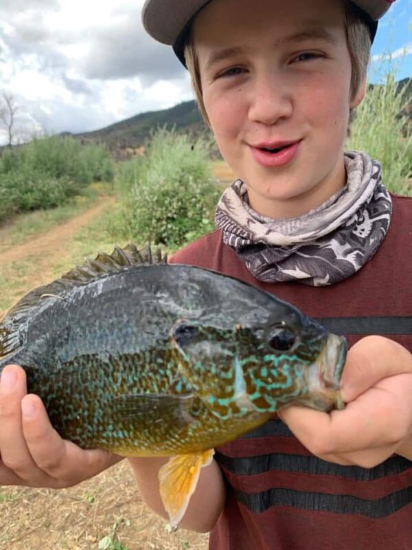 FB_IMG_1676874724108 FB_IMG_1676874724108